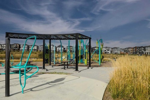 64 Waterford Terrace, Chestermere, AB - Outdoor