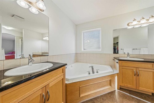 109 Silverado Creek Crescent Sw, Calgary, AB - Indoor Photo Showing Bathroom