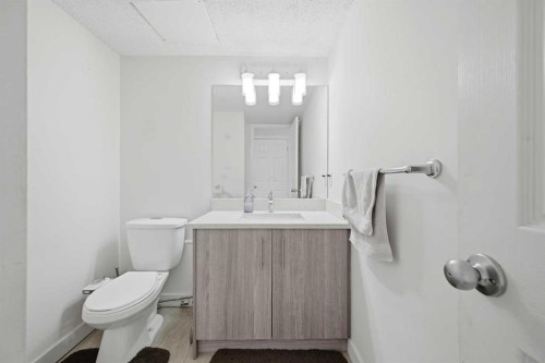 172 Castlebrook Road Ne, Calgary, AB - Indoor Photo Showing Bathroom