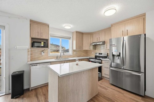 172 Castlebrook Road Ne, Calgary, AB - Indoor Photo Showing Kitchen With Upgraded Kitchen