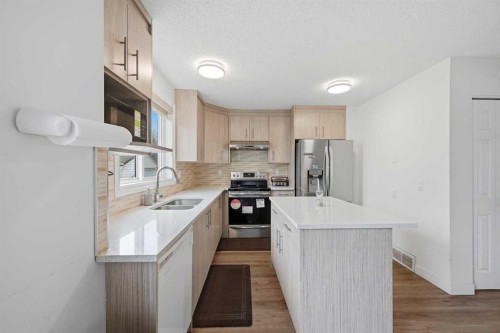172 Castlebrook Road Ne, Calgary, AB - Indoor Photo Showing Kitchen With Double Sink With Upgraded Kitchen