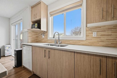172 Castlebrook Road Ne, Calgary, AB - Indoor Photo Showing Kitchen With Double Sink