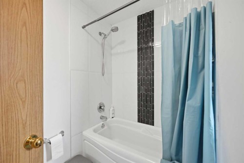 172 Castlebrook Road Ne, Calgary, AB - Indoor Photo Showing Bathroom