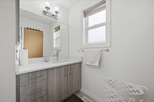 172 Castlebrook Road Ne, Calgary, AB - Indoor Photo Showing Bathroom