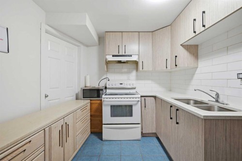 172 Castlebrook Road Ne, Calgary, AB - Indoor Photo Showing Kitchen With Double Sink