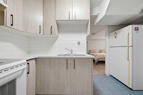 172 Castlebrook Road Ne, Calgary, AB - Indoor Photo Showing Kitchen With Double Sink