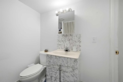 172 Castlebrook Road Ne, Calgary, AB - Indoor Photo Showing Bathroom
