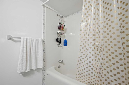 172 Castlebrook Road Ne, Calgary, AB - Indoor Photo Showing Bathroom