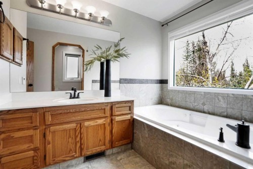 62 Macewan Park View Nw, Calgary, AB - Indoor Photo Showing Bathroom