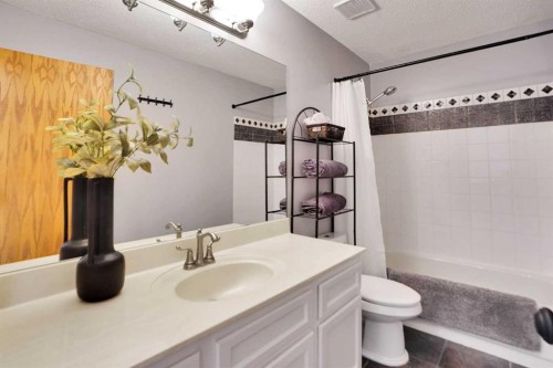 62 Macewan Park View Nw, Calgary, AB - Indoor Photo Showing Bathroom