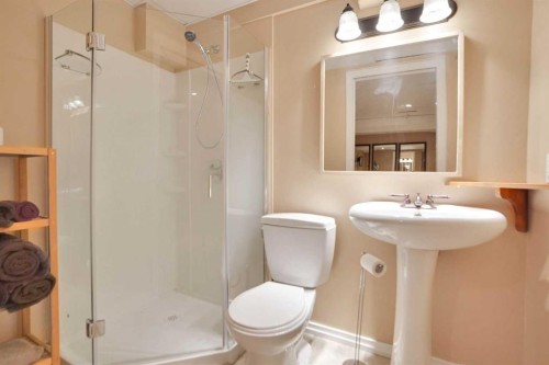 62 Macewan Park View Nw, Calgary, AB - Indoor Photo Showing Bathroom