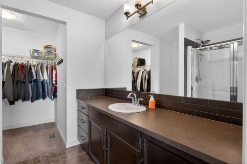 183 Copperpond Street Se, Calgary, AB - Indoor Photo Showing Bathroom