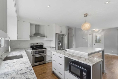 819 Avonlea Place Se, Calgary, AB - Indoor Photo Showing Kitchen With Stainless Steel Kitchen With Upgraded Kitchen