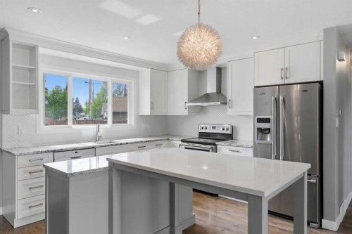 819 Avonlea Place Se, Calgary, AB - Indoor Photo Showing Kitchen With Stainless Steel Kitchen With Upgraded Kitchen