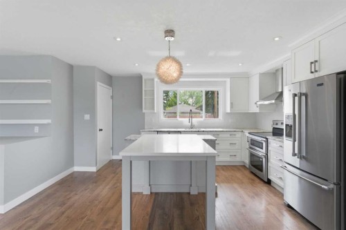 819 Avonlea Place Se, Calgary, AB - Indoor Photo Showing Kitchen With Stainless Steel Kitchen With Upgraded Kitchen