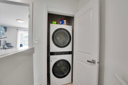 281 Walden Drive Se, Calgary, AB - Indoor Photo Showing Laundry Room