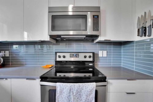 281 Walden Drive Se, Calgary, AB - Indoor Photo Showing Kitchen With Upgraded Kitchen