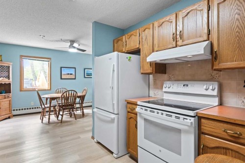 101-410 7 Street Sw, High River, AB - Indoor Photo Showing Kitchen