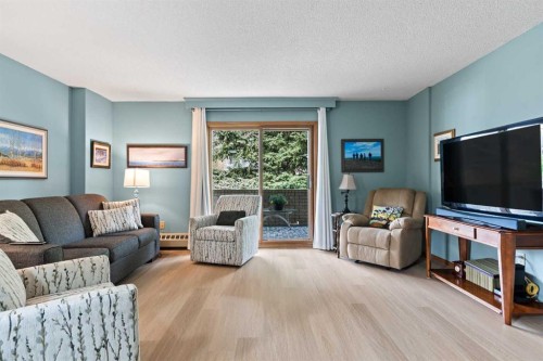 101-410 7 Street Sw, High River, AB - Indoor Photo Showing Living Room