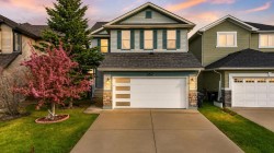 282 Chapalina Terrace SE Calgary, AB T2X 0B2