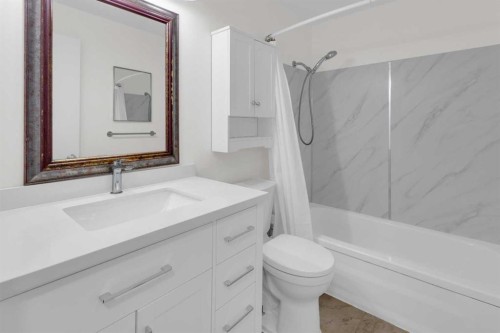 827 Maplewood Crescent Se, Calgary, AB - Indoor Photo Showing Bathroom