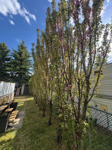 220-2540 Township Road 353, Rural Red Deer County, AB 