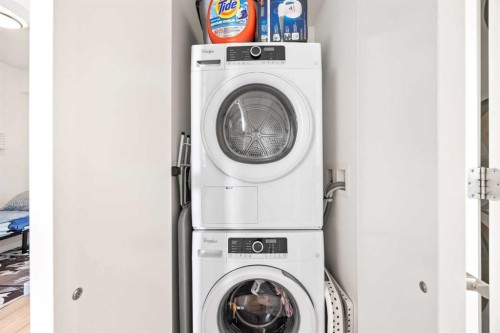 808-615 6 Avenue Se, Calgary, AB - Indoor Photo Showing Laundry Room