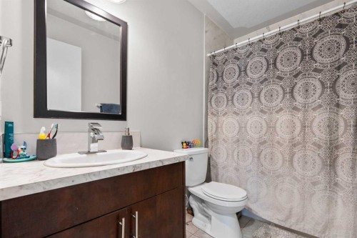 84 Falconridge Place Ne, Calgary, AB - Indoor Photo Showing Bathroom