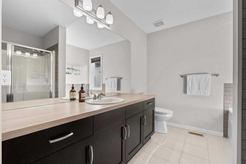 567 Evansborough Way Nw, Calgary, AB - Indoor Photo Showing Bathroom