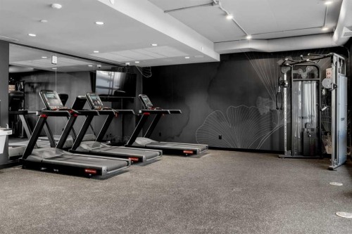 309-8375 Broadcast Avenue Sw, Calgary, AB - Indoor Photo Showing Gym Room