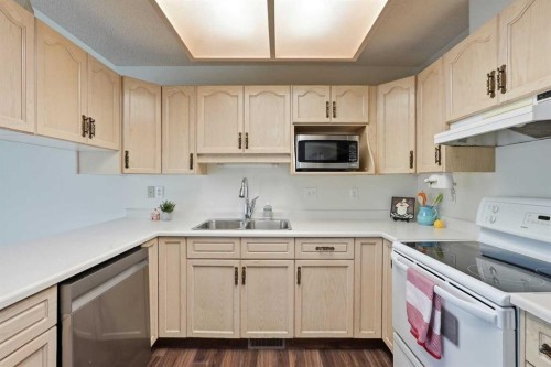 29 Edenwold Green Nw, Calgary, AB - Indoor Photo Showing Kitchen With Double Sink