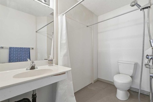 29 Edenwold Green Nw, Calgary, AB - Indoor Photo Showing Bathroom