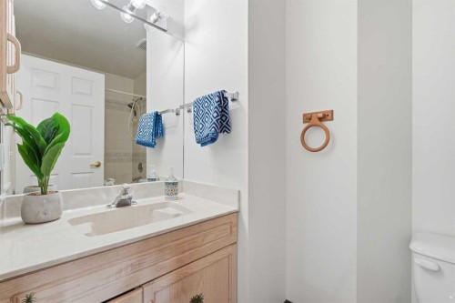 29 Edenwold Green Nw, Calgary, AB - Indoor Photo Showing Bathroom