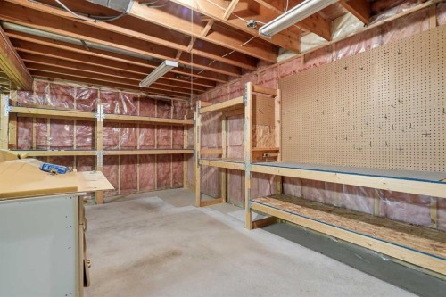 29 Edenwold Green Nw, Calgary, AB - Indoor Photo Showing Basement