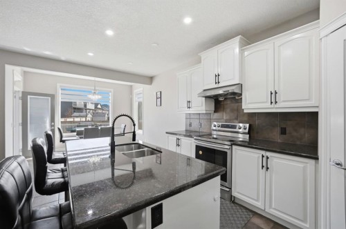 591 Taralake Way Ne, Calgary, AB - Indoor Photo Showing Kitchen With Double Sink With Upgraded Kitchen
