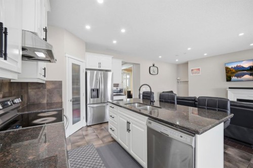 591 Taralake Way Ne, Calgary, AB - Indoor Photo Showing Kitchen With Double Sink With Upgraded Kitchen