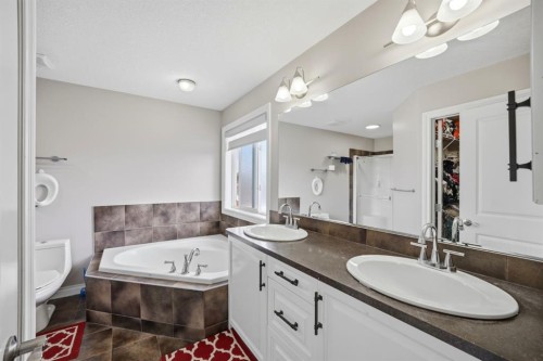 591 Taralake Way Ne, Calgary, AB - Indoor Photo Showing Bathroom
