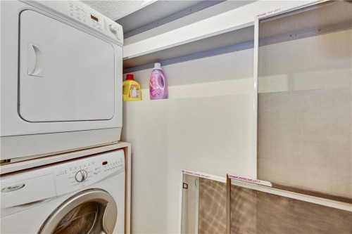 10-123 13 Avenue Ne, Calgary, AB - Indoor Photo Showing Laundry Room