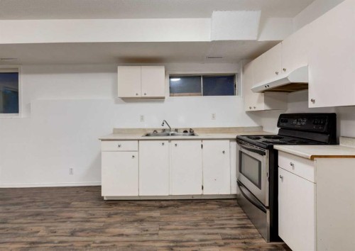 1135 37 Street Se, Calgary, AB - Indoor Photo Showing Kitchen With Double Sink