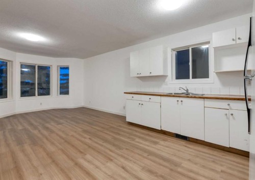 1135 37 Street Se, Calgary, AB - Indoor Photo Showing Kitchen With Double Sink