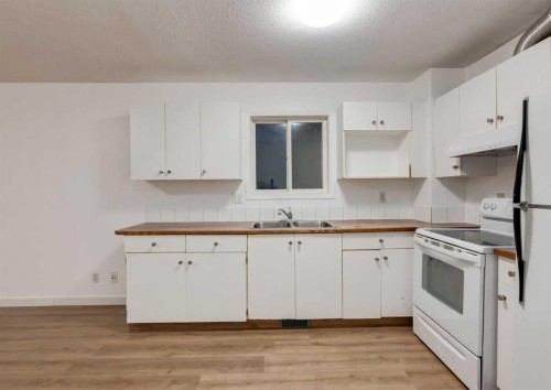 1135 37 Street Se, Calgary, AB - Indoor Photo Showing Kitchen With Double Sink