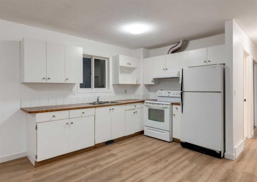 1135 37 Street Se, Calgary, AB - Indoor Photo Showing Kitchen With Double Sink