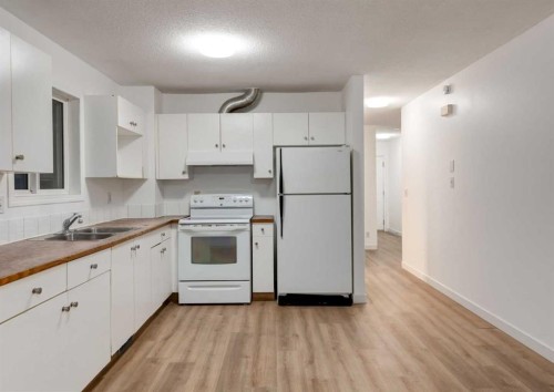 1135 37 Street Se, Calgary, AB - Indoor Photo Showing Kitchen With Double Sink