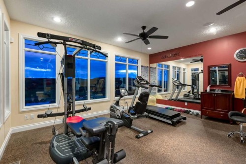 100-274256 272 Street West, Rural Foothills County, AB - Indoor Photo Showing Gym Room