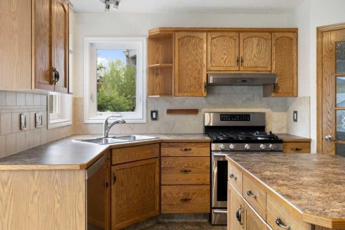 439 Douglas Woods Drive Se, Calgary, AB - Indoor Photo Showing Kitchen With Double Sink