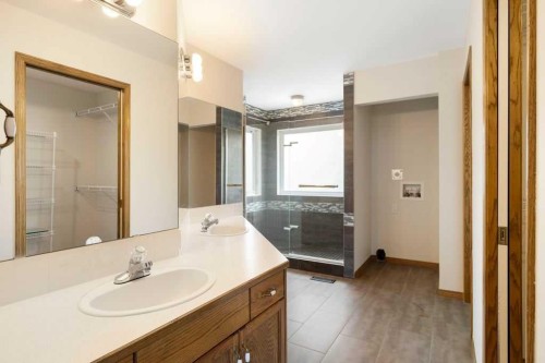 439 Douglas Woods Drive Se, Calgary, AB - Indoor Photo Showing Bathroom