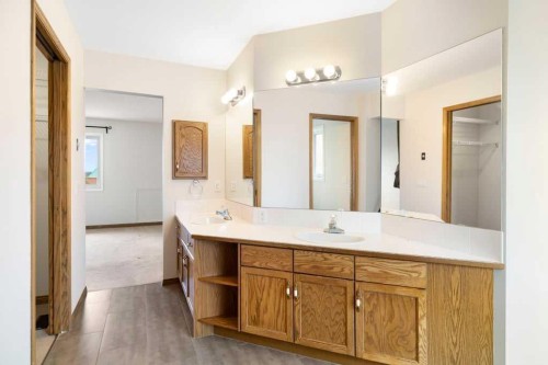 439 Douglas Woods Drive Se, Calgary, AB - Indoor Photo Showing Bathroom