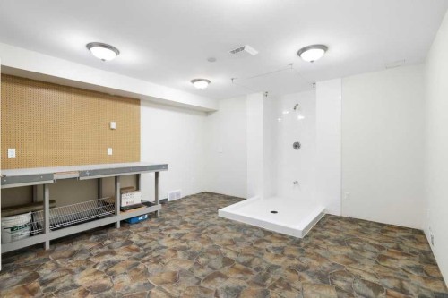 439 Douglas Woods Drive Se, Calgary, AB - Indoor Photo Showing Other Room