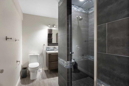 439 Douglas Woods Drive Se, Calgary, AB - Indoor Photo Showing Bathroom