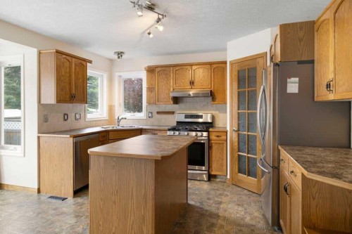 439 Douglas Woods Drive Se, Calgary, AB - Indoor Photo Showing Kitchen With Double Sink